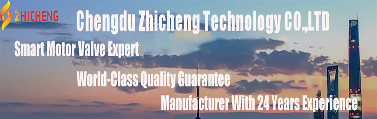 Chengdu zhicheng --Global leading gas intelligent monitoring expert