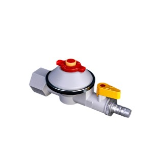 Gas Stove Safety Valve